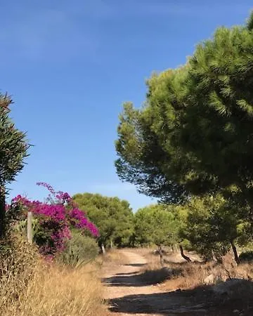 Kyrah Apartamento Torrevieja